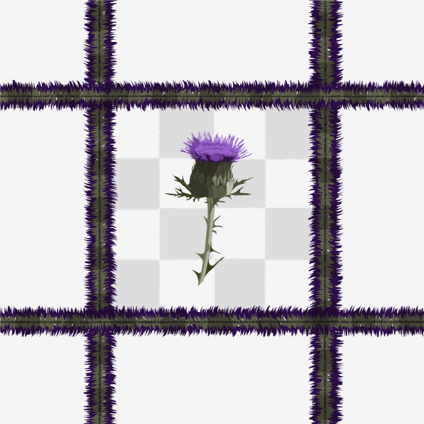 Tartan Thistle